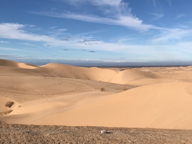 Shoulders and Roads